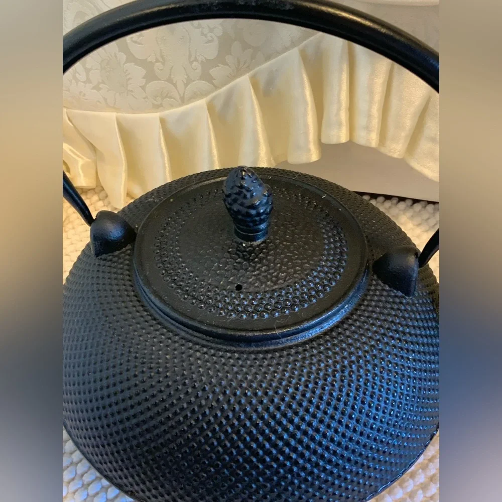 IKENAGA NAMBU IRON KETTLE